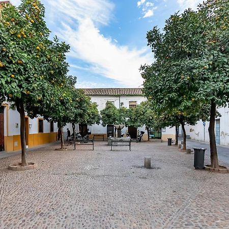 Appartamento Bhost - Regina V Cordova Esterno foto
